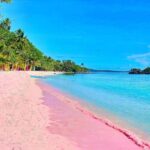 Pantai pink