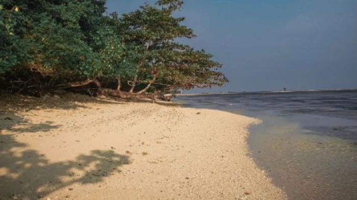 Pantai cijeruk