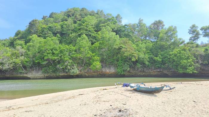 Pantai ungapan