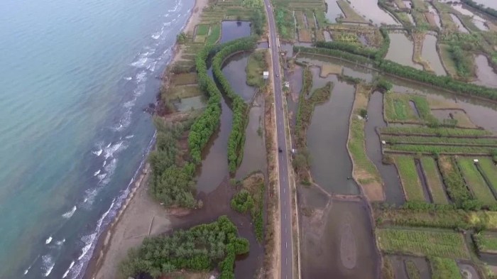 Pantai sigandu