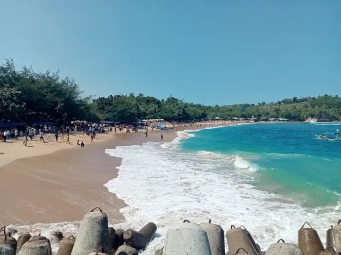 Rejo tambak pantai blitar selatan