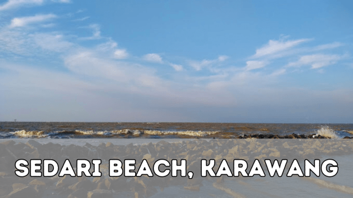 Pantai sedari