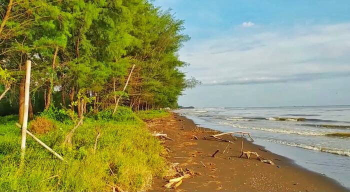 Pemalang indonesia java central beach