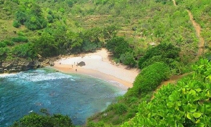 Pantai ngetun