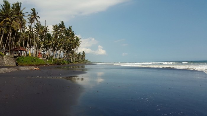 Pantai pasut