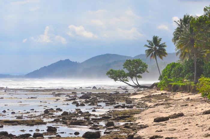 Karapyak pantai pangandaran eksotik bawah keindahan bukti