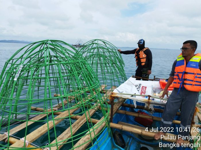 Bali coral reefs diving marine life ceningan nusa indonesian saved google penida komodo around