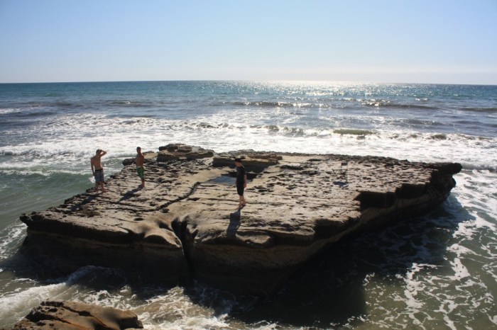 Flat rock beach pines torrey beaches