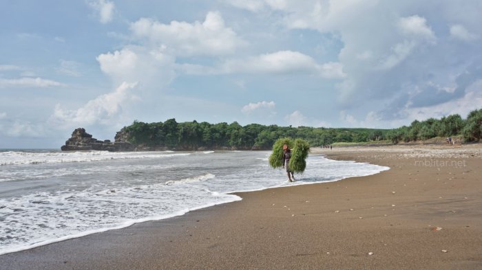 Pantai serit