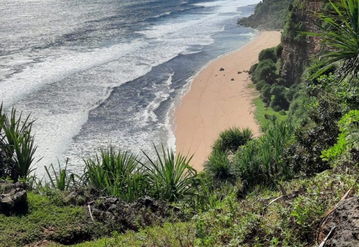 Pantai watunene