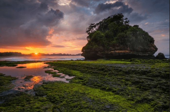 Pantai parang dowo