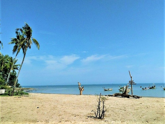 Pantai cemara tuban