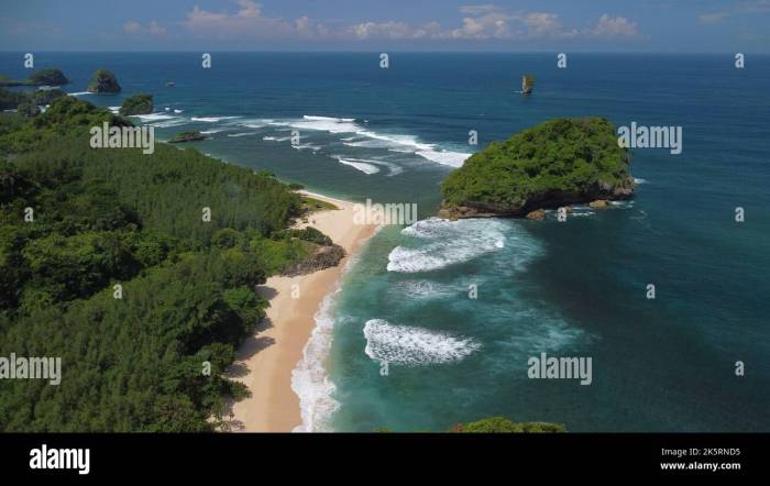 Pantai tanjung penyu