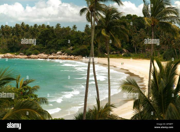 Angsana beach kalimantan indonesia tourism south