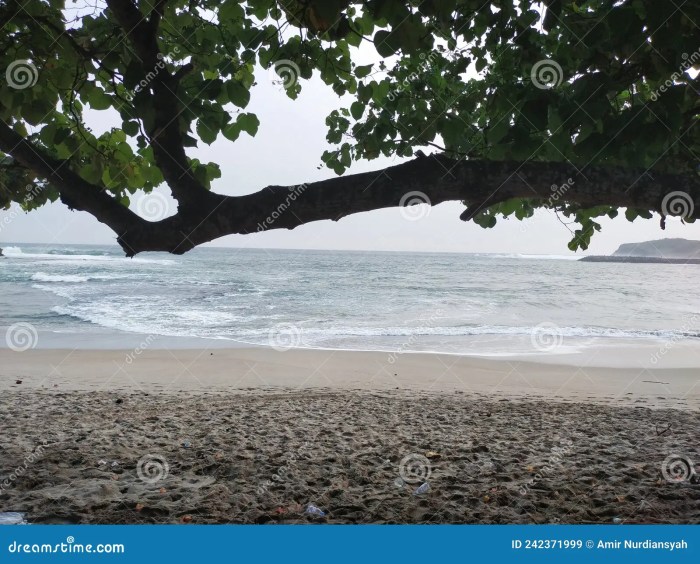 Pantai tambakrejo