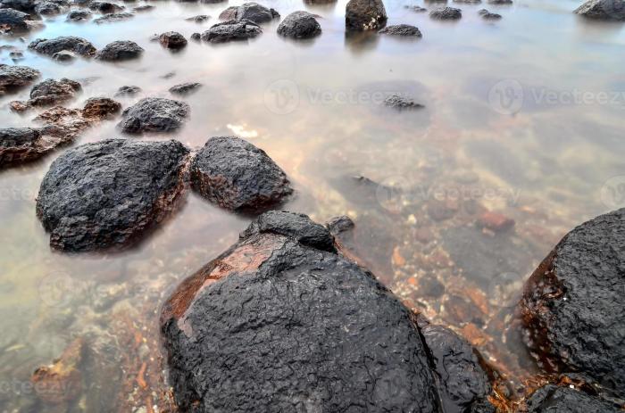 Head yaquina stone beach outstanding natural area tripadvisor rate