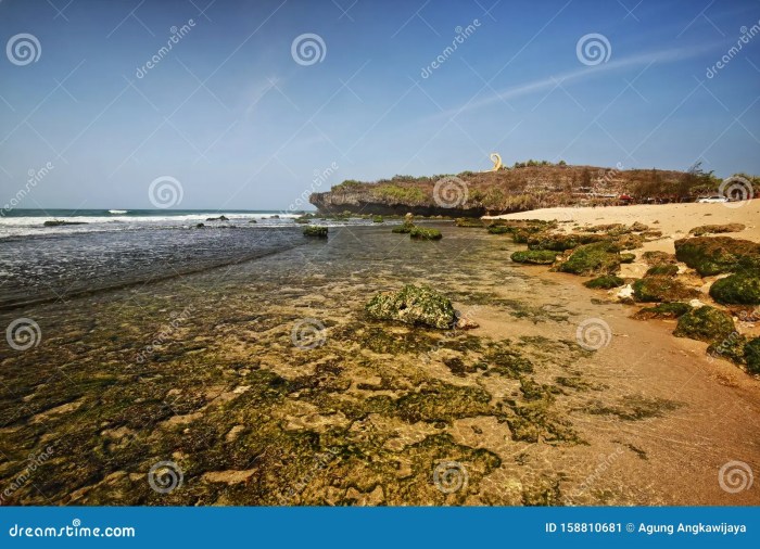 Pantai krakal