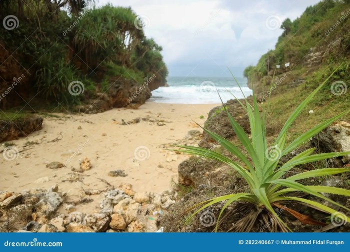 Pantai srakung