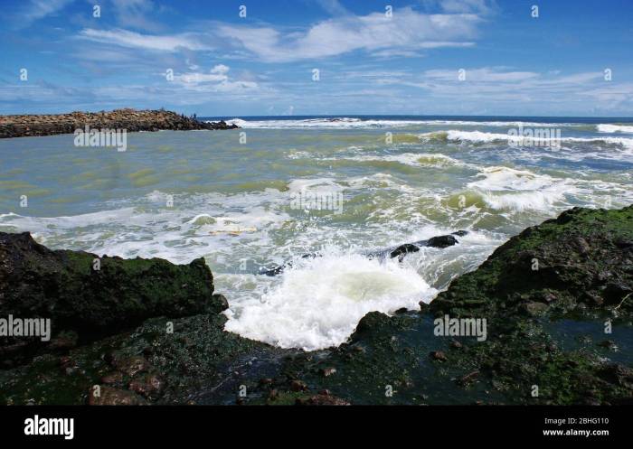 Pantai karang bolong kebumen