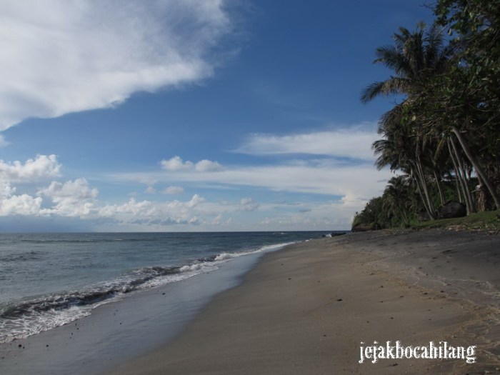 Pantai krui