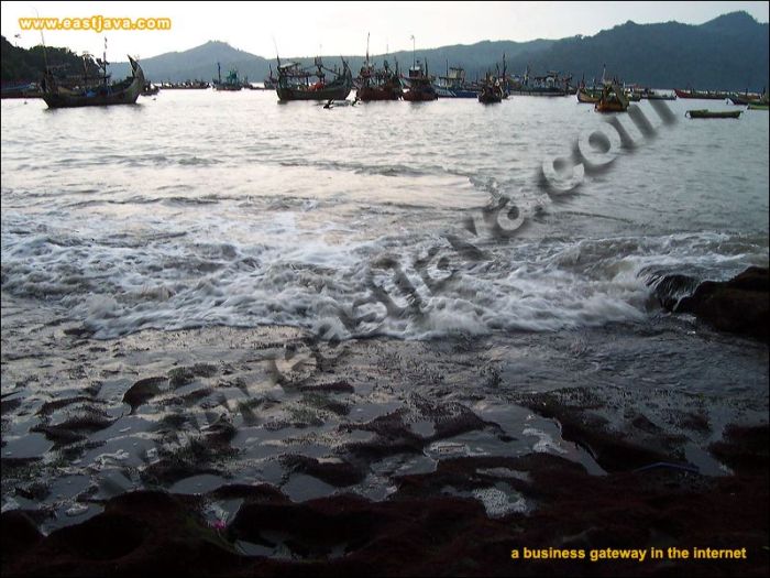 Tulungagung tourism beach