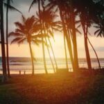 Beach bali sand tide motorbikes far racing down were so