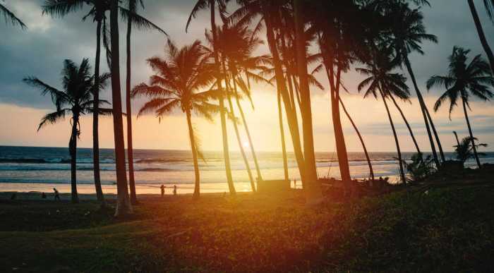 Beach bali sand tide motorbikes far racing down were so