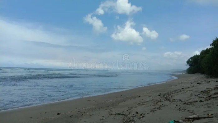 Pantai tunggal pok keindahan sindangkerta wisata jogja kidul jawa pantainesia ulasan rute lokasi