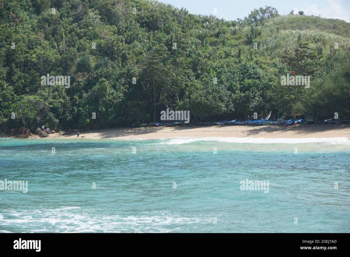 Pantai pangi blitar