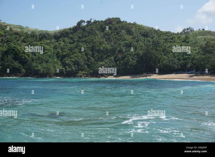 Pantai pangi blitar