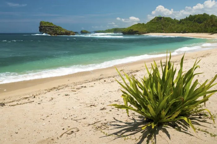 Watu karung pantai pacitan