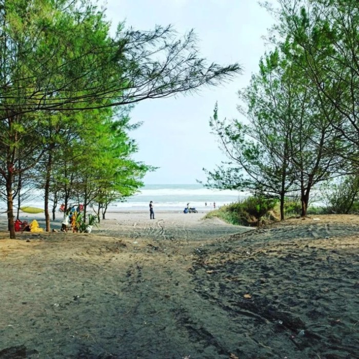 Pantai cemara cidaun