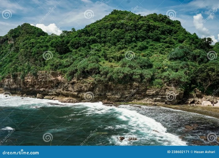 Pantai kidul gunung jogja alam wisata tempat teluk lokasi keberadaanya jarang